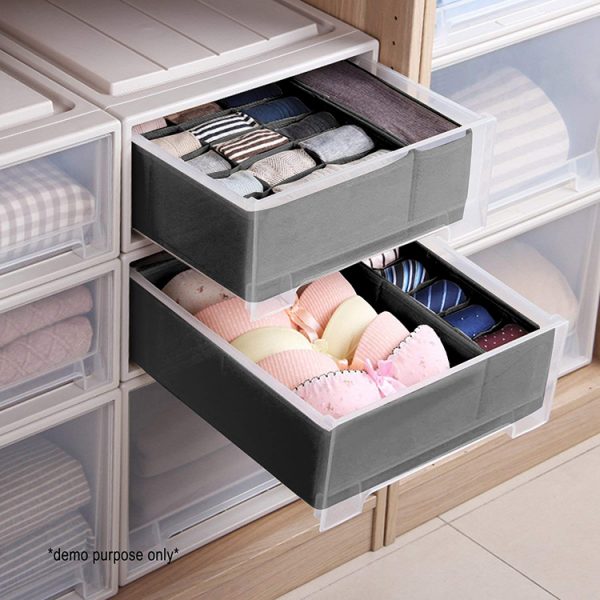 Neat&clean – Organizator za spodnje perilo (3 delni set) slider