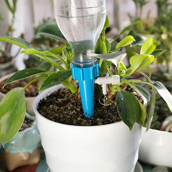 Čepki za samodejno zalivanje (12 + 12 gratis) slider